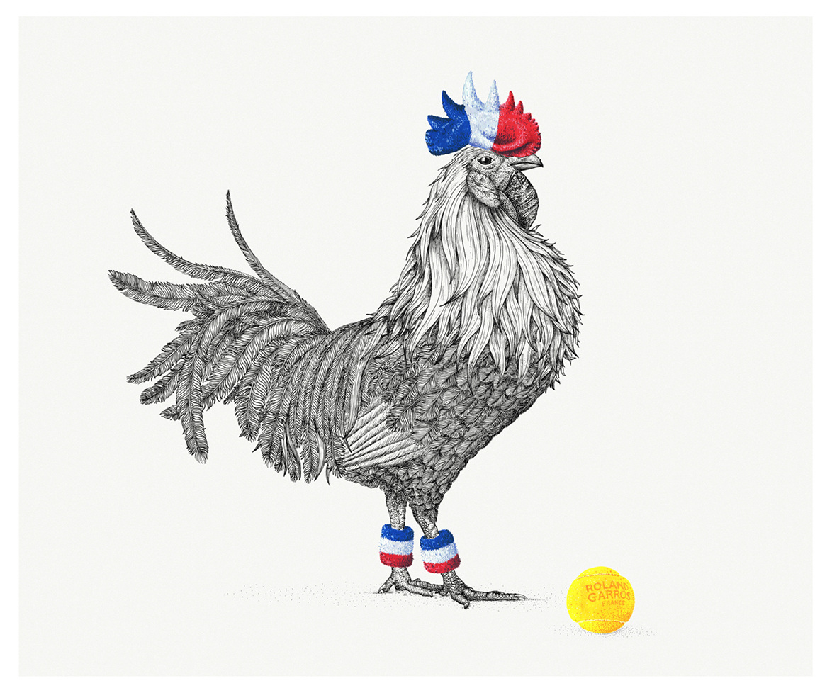 rooster wallpaper vintage CHAUVIN  Broll & / COQ  ROLAND Prascida GARROS